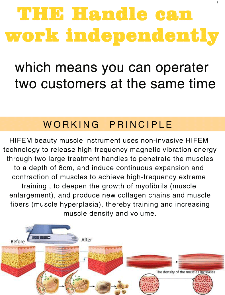 1mhz Ems Infrared Ultrasonic Slimming Machine