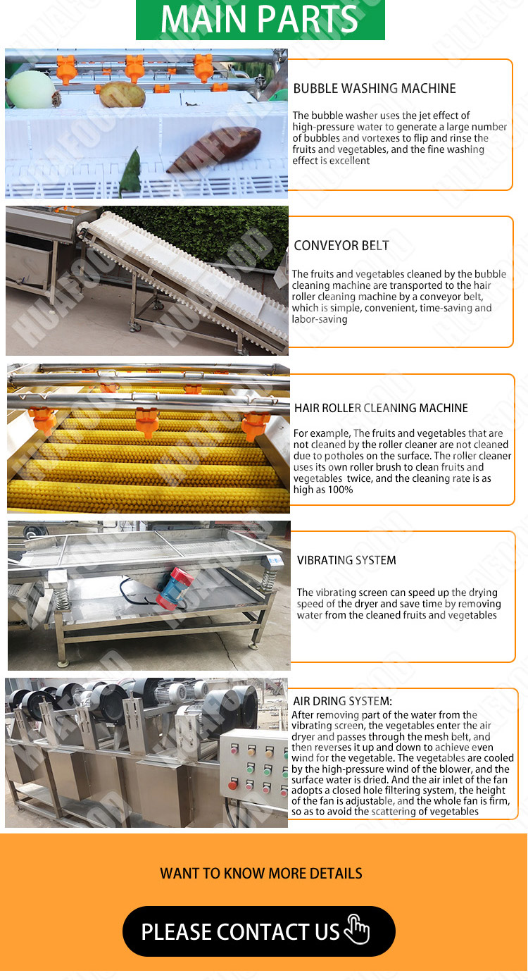 Kelp Drying Machine Seaweed Hot Air Dryer Seafood Drying Equipment