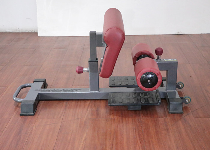Full Body Gym Equipment Adjustable Sissy Squat Rack for commercial trainer use