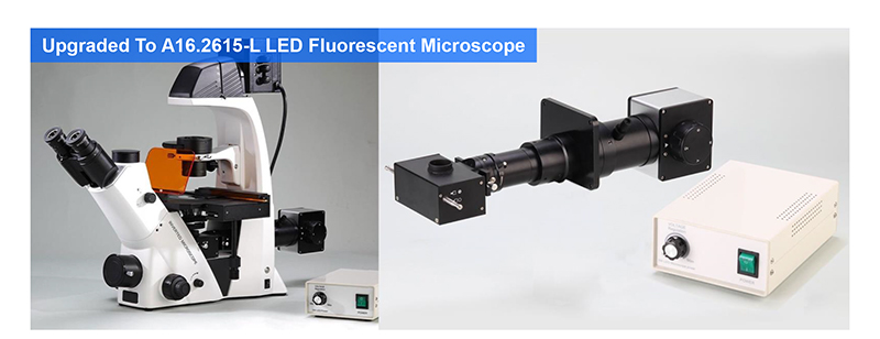 OPTO-EDU Trinocular Inverted Biological Microscope WF10X PlA14.2605 Kohler Illumination
