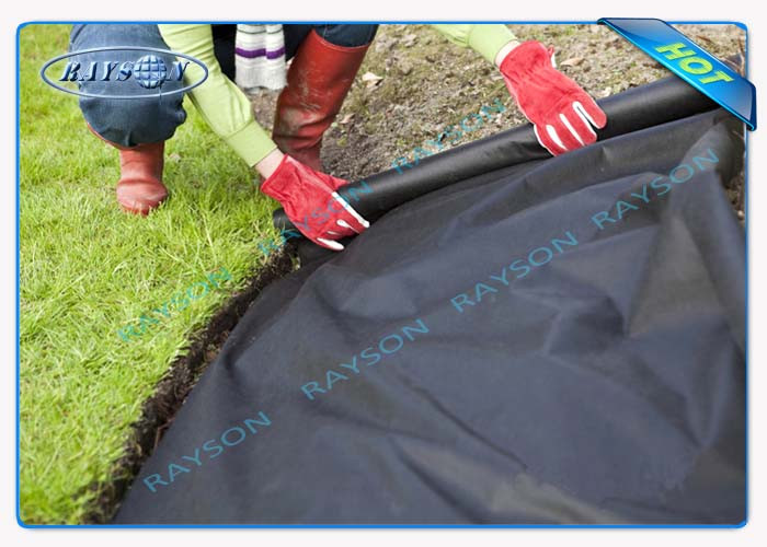 3% UV Protection 10 Year Guarantee Agricultural Non Woven Cover Spunbond In Black Color