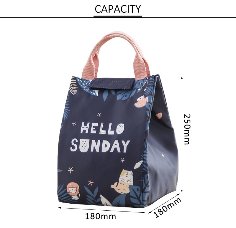 Water Repellent Polyester Insulated Lunch Cooler Bags