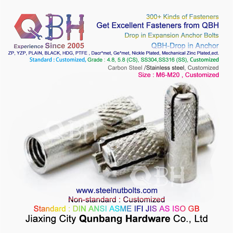 QBH SS 304 S.S. 316 Stainless Steel Drop In Expansion Anchor Bolts