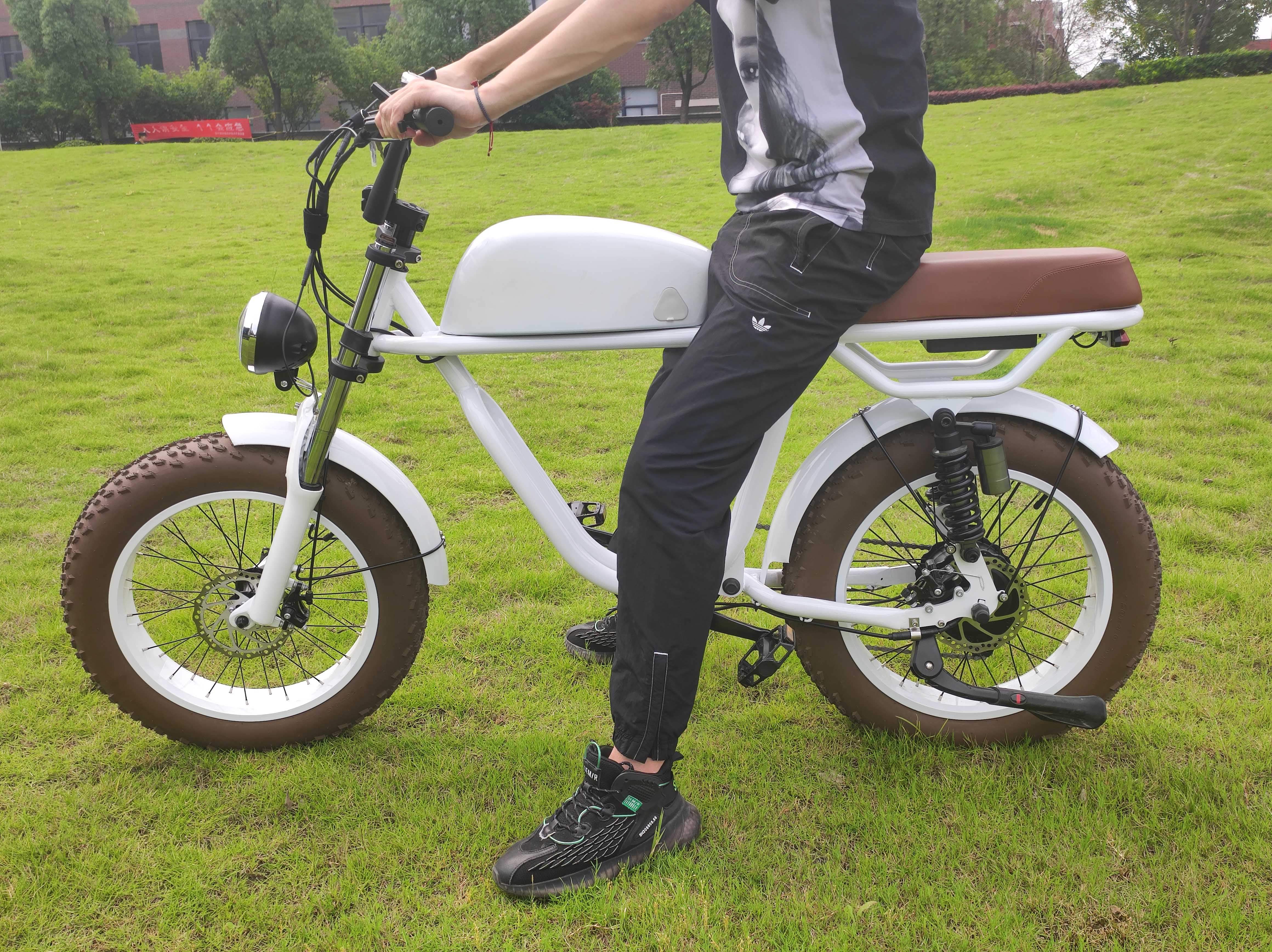 Standard Style Electric Dirt Bike High Torque of 70-80 Nm for City Cruising and More