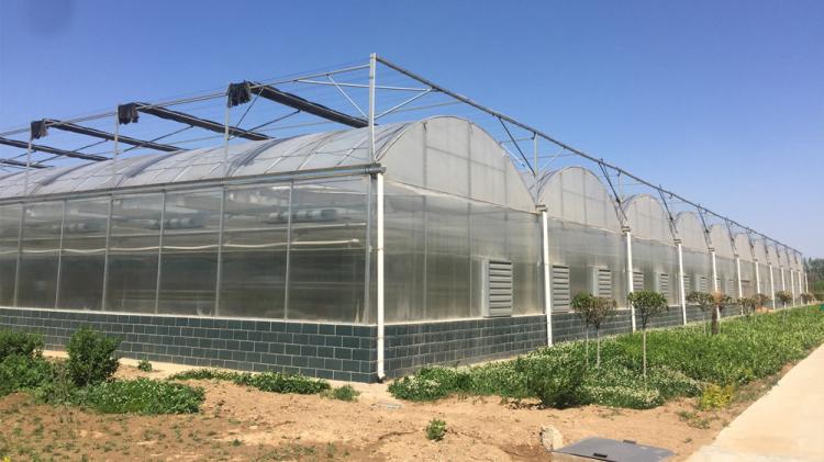 Pressure-Resistant Glass House for Large-Scale Growth of Vegetable Fruits and Flowers