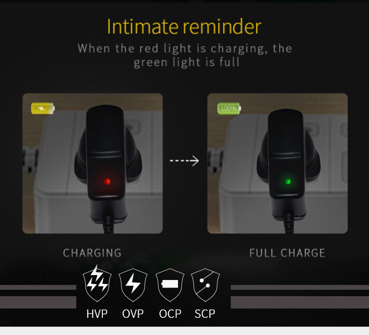 Wall Plug Mounted Lithium Ion Battery Charger 9 Volt Dc 750ma 0.8a