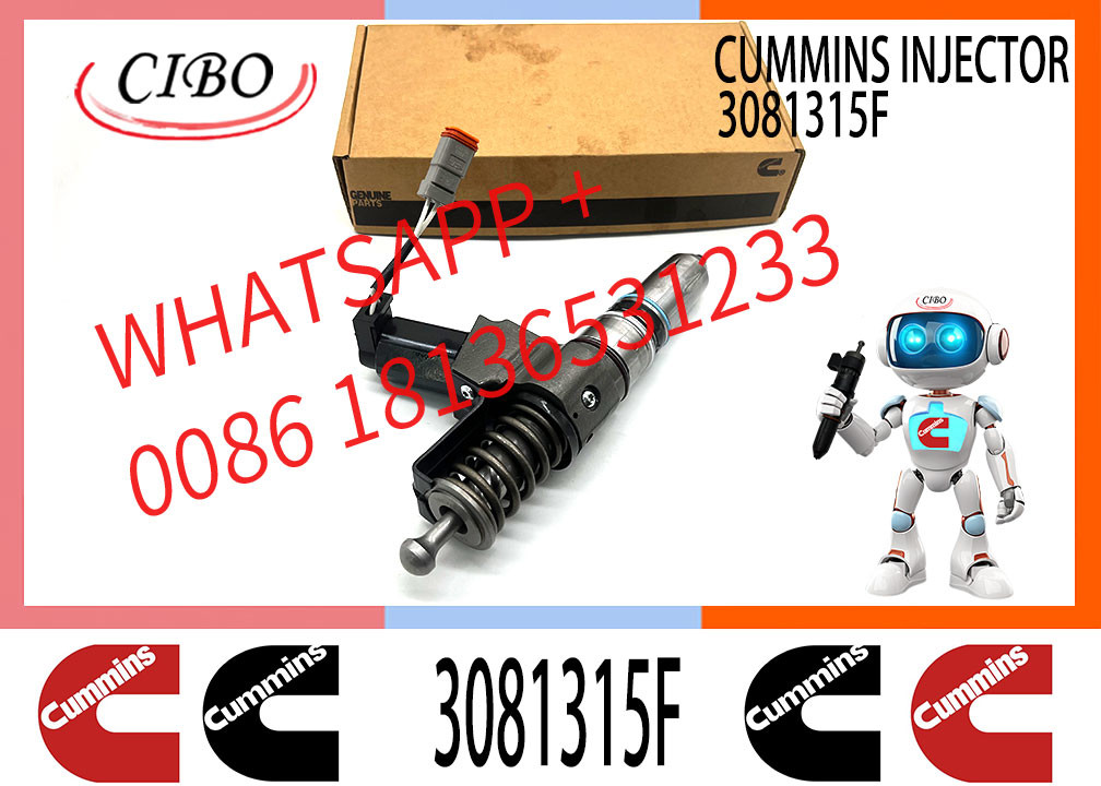 Fuel Injector Assembly 3081315F 4384360 3411762 4307516N 3411767T 3407776 3087807 341176 3409975 For Cum-mins Engine N14