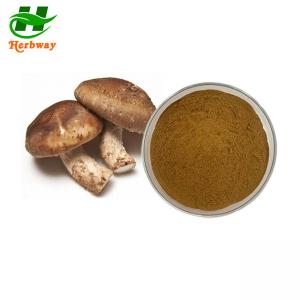 China Shiitake Mushroom Extract Lentinus Edodes Extract 10%-50% Polysaccharide Lentinan on sale