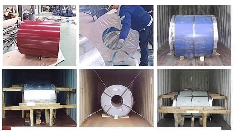Ral Color Prepainted Galvanized Steel Coil PPGI 40g/M2 To 275g/M2 0.125mm To 4.0mm