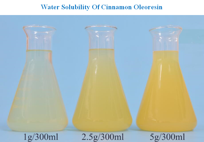 Supercritical CO2 Extraction Cinnamon Oleoresin