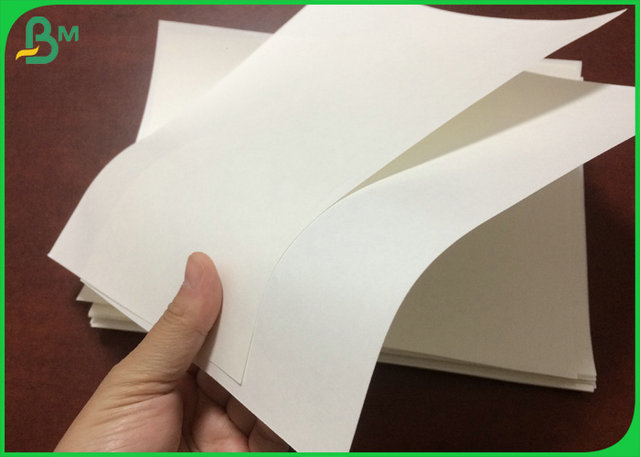Food Grade 31inch 35inch 70g 100g Bleached Kraft Paper Roll For Nut Packaging Bag