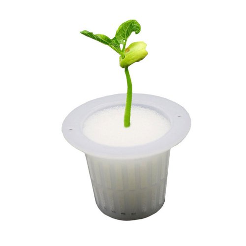 Small Size Injection Molded Plastic PP Net Pots for Hydroponic Greenhouse Cultivation