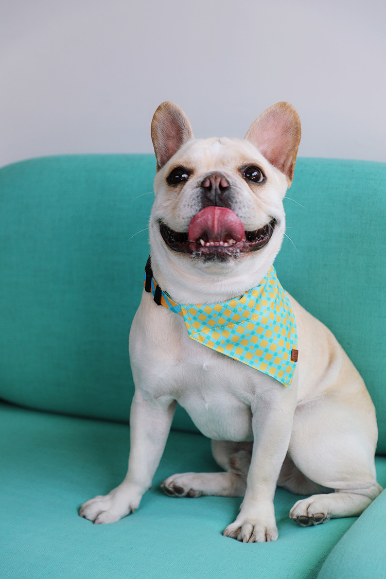 14x9.5cm Small Dog Bandana Collar Bibs Puppy Neckerchief Washable Triangle Plaid