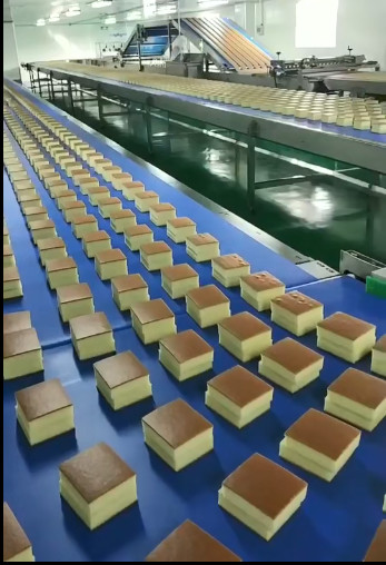 VFD 3 Phase 220V PU Conveyor Belt Cooling System