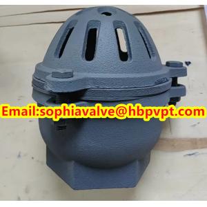 China BRITISH STANDARD BS21 cast iron threaded foot valve contact Sophie on sale