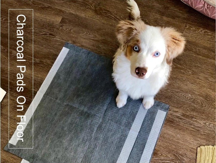 Disposable Pet Pee Pad