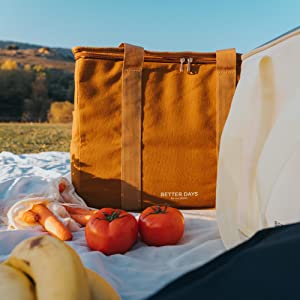 Insulated Reusable Grocery Bag