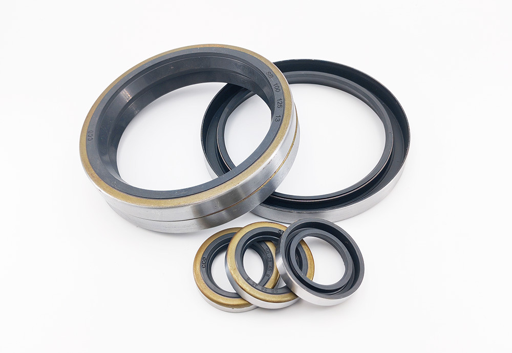 Car Engines And Gearboxes NBR Oil Seal Double Lip Metal SB Skeleton Oil Seal