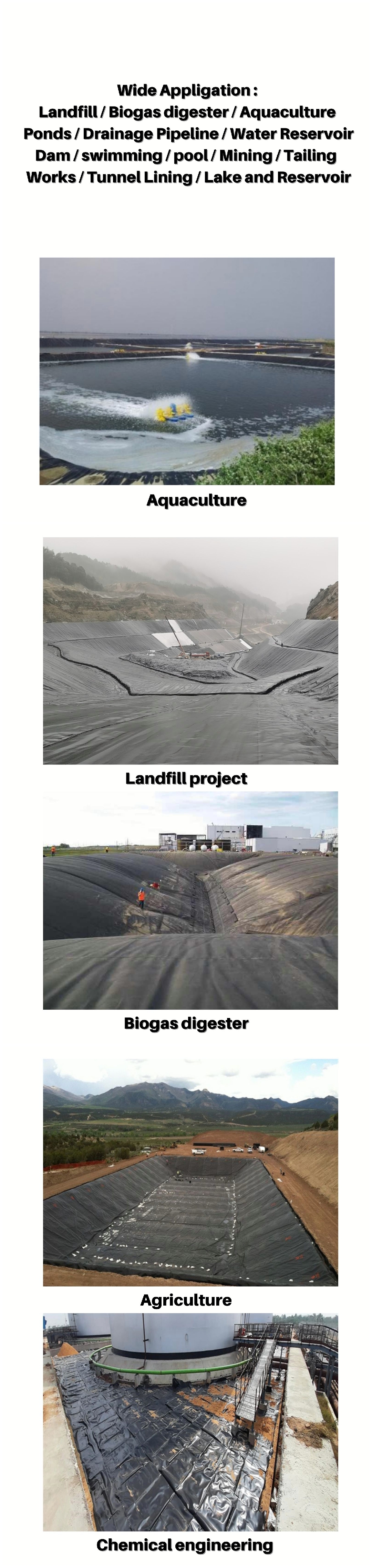 Smooth Face LDPE HDPE Geomembrane Sheet for Fish Farm Shrimp Pond Liner 4-9m Width