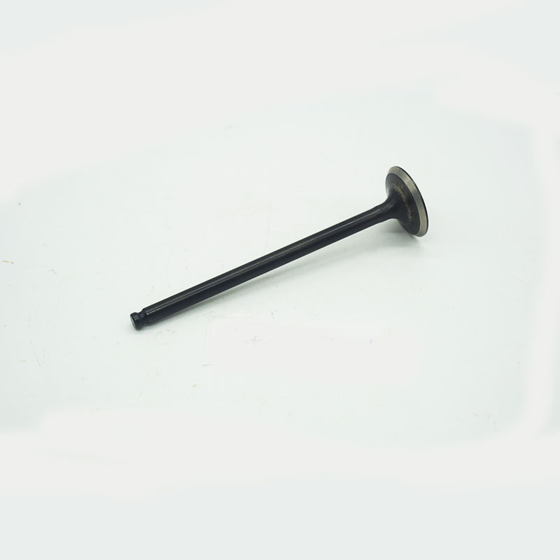 Motorcycle Engine Exhaust Intake Valves Satria Fu ISO9001 Listed