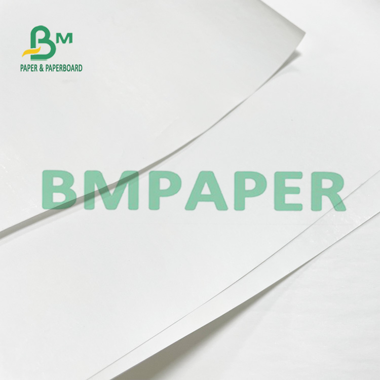 55 GSM Premium Quality BPA Free Thermal Receipt Printer Paper For POS