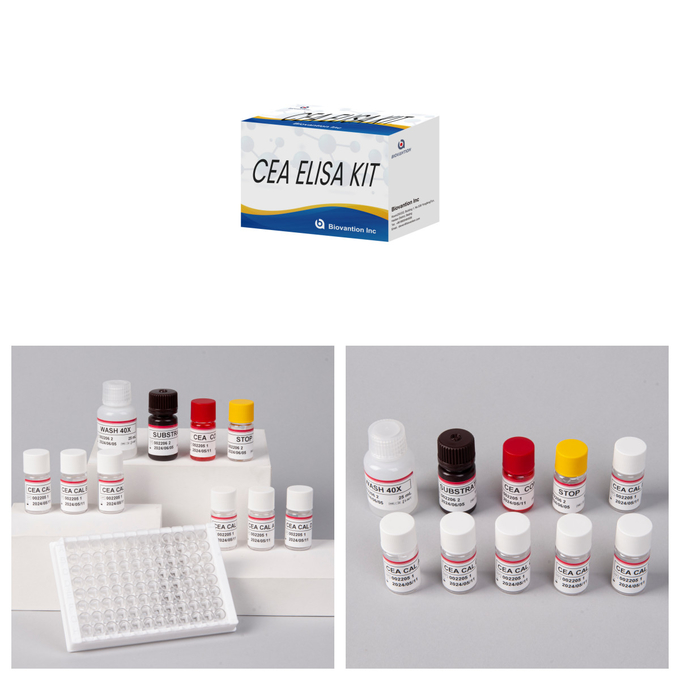 CE Approval Human Use CEA Quantitative Elisa Test Kit Blood Or Serum Test 96T