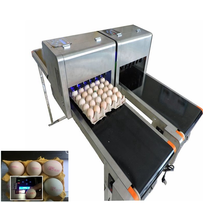 Whole Tray Egg Continuous Inkjet Printer With USB Flash Drive Internal Storage