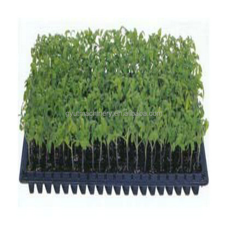 2024 Microgreens Seeder and Top Coater for Cabbage Onion Garden Seed Seeding Machine