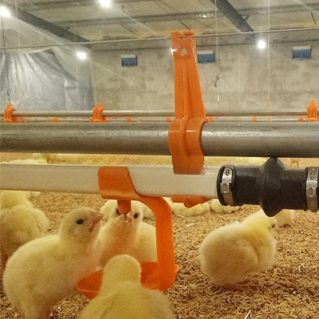 Automatic Nipples Water Drinking system poultry feeder for pig animals