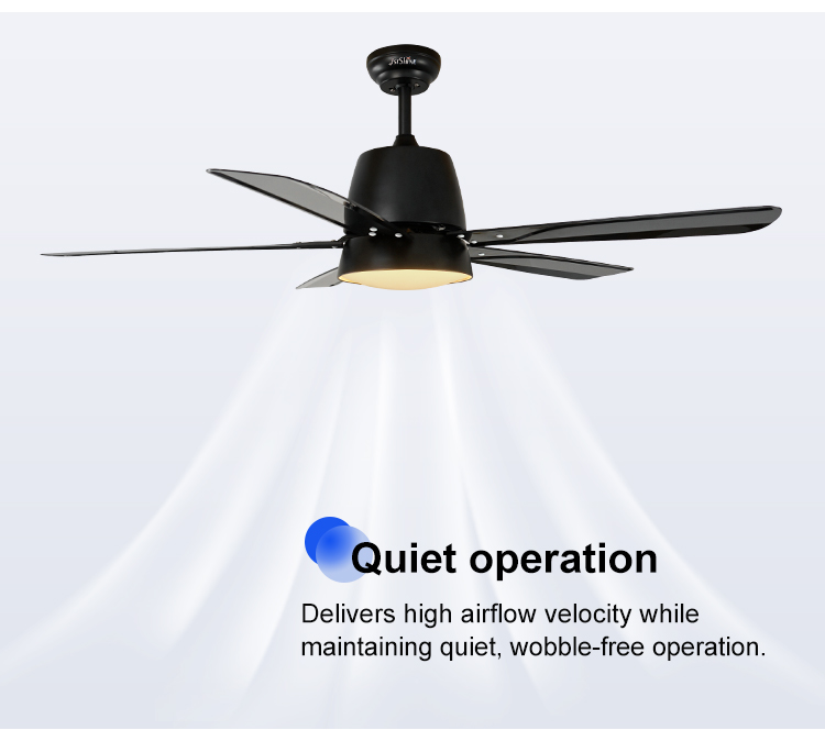ceiling fan