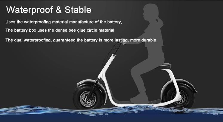 Citycoco 2000w Electric Scooter Adult With Seat 50 Mph 45 Mph EEC Approved