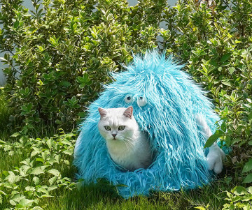 cat fluffy bed