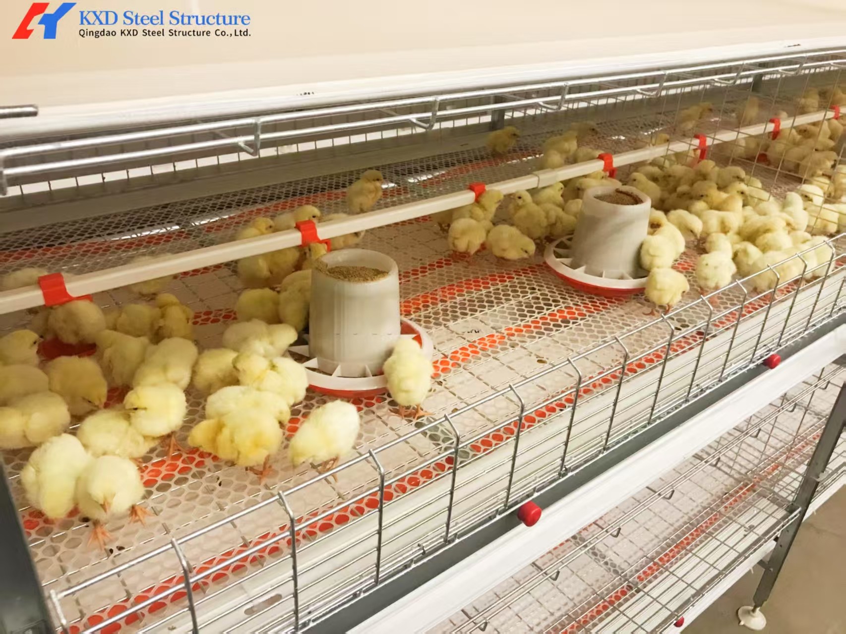 Automatic Broiler Poultry Farming Equipment Galvanized H Type Battery Chicken Cages