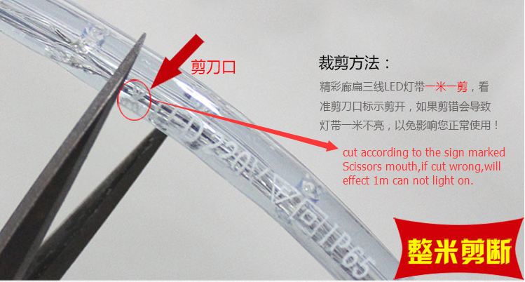 2 Wire Round Flexible LED Rope Light