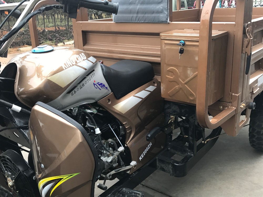 Garden Heavy Duty 3.4m 250cc E Bike Cargo Tricycle