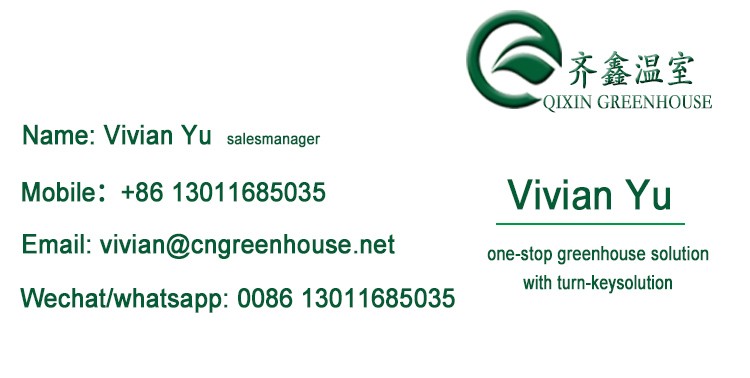 Used Container Tomato Greenhouse PE Material Optional Ventilation System