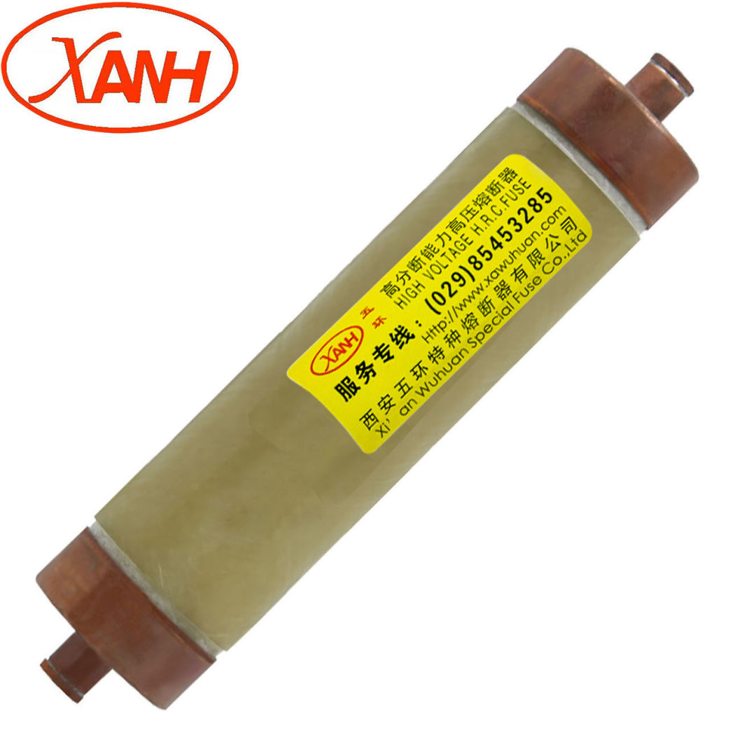 Bay-O-Net Tap Changer Switch Fuse for Oil Transformer Xrnt4-15.5/150