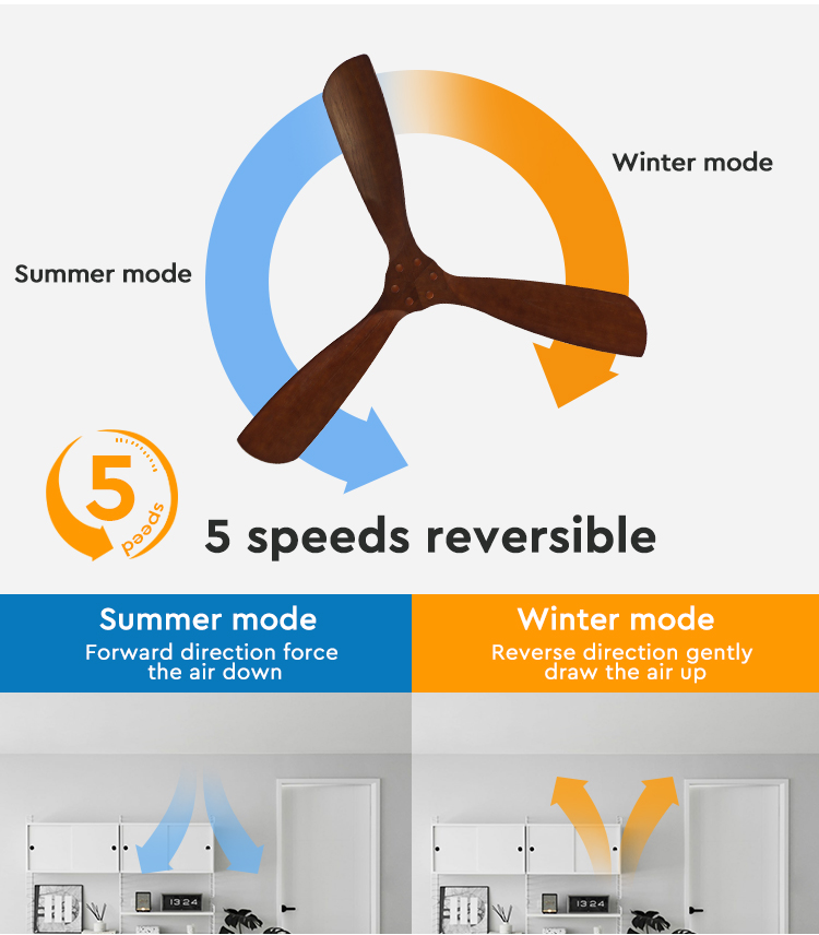 ceiling fan