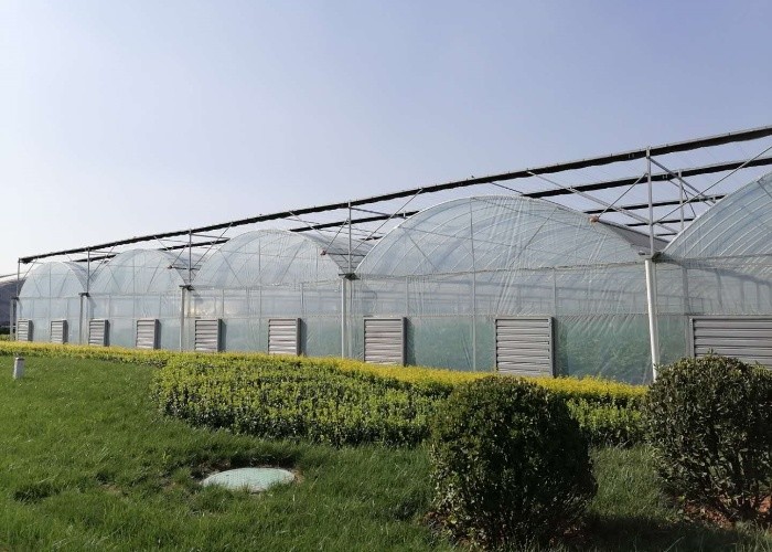 Vegetable Agricultural Tomatoes Dome Roof 7-10m Span Po Film Greenhouse