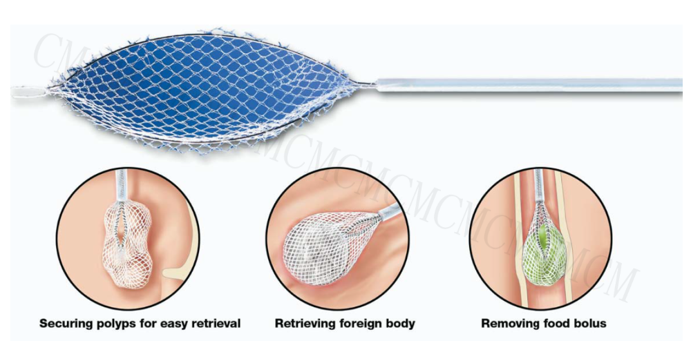 Endoscopic 2.4mm Disposable Grasping Forceps Remove Foreign Body