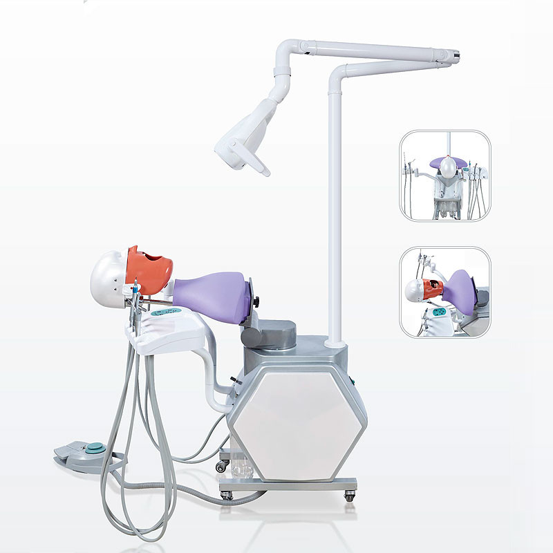 School Ultraportable Dental Phantom Head , Removable Dental Simulation Unit
