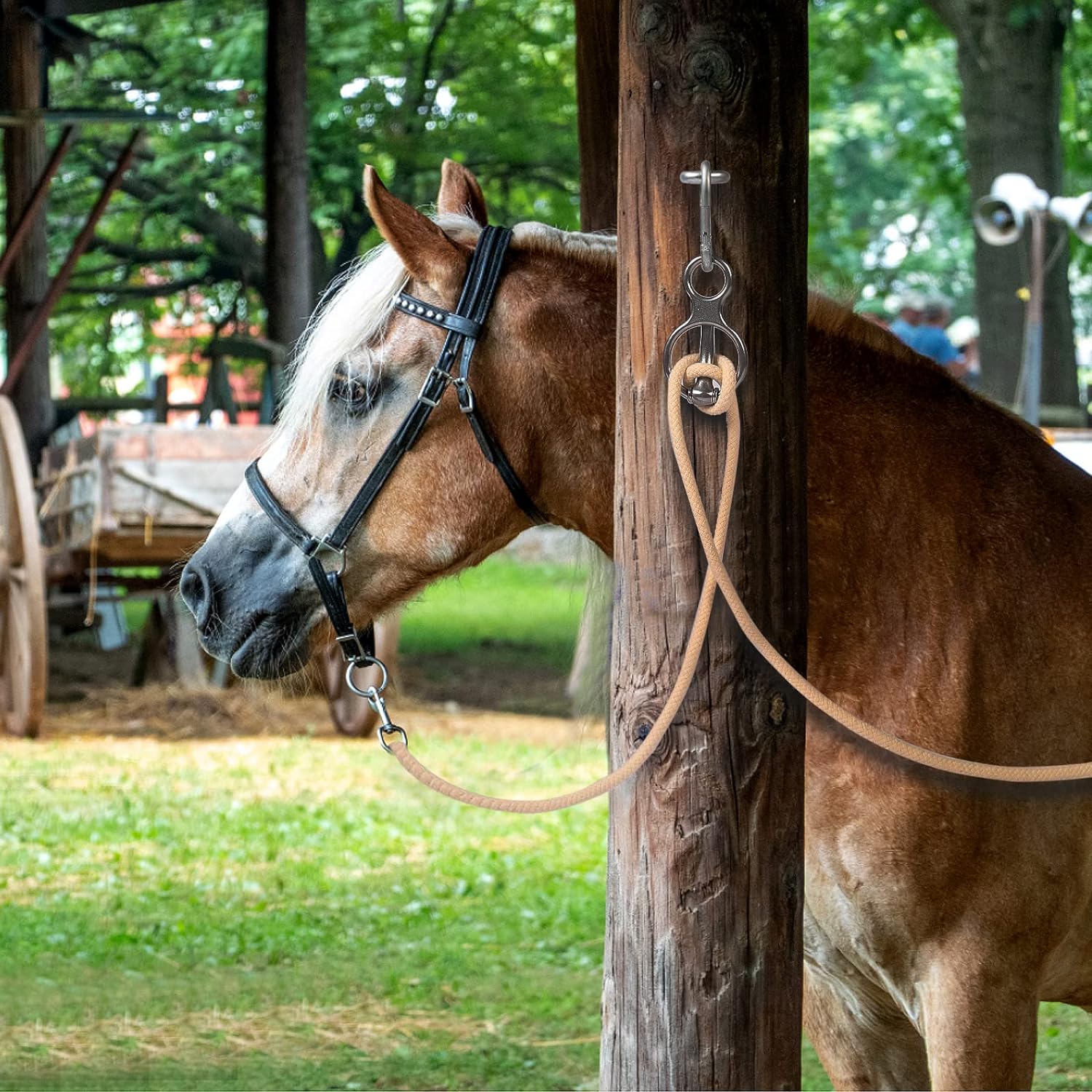 Stainless Steel Horse Tack Blocker Tie Rings For Harness Safety And Control