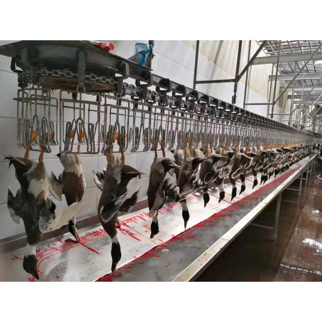 CE Approved Duck Slaughter Machine for Poultry Butcher Processing Line