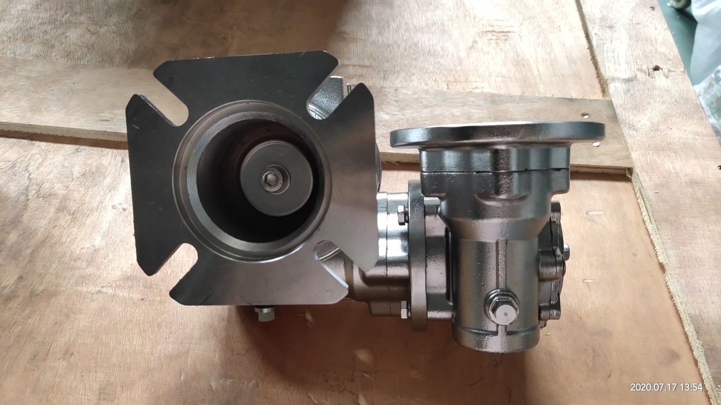 SS304 Hardness 58-62 HRC Double Reduction Worm Gear Speed Reducer