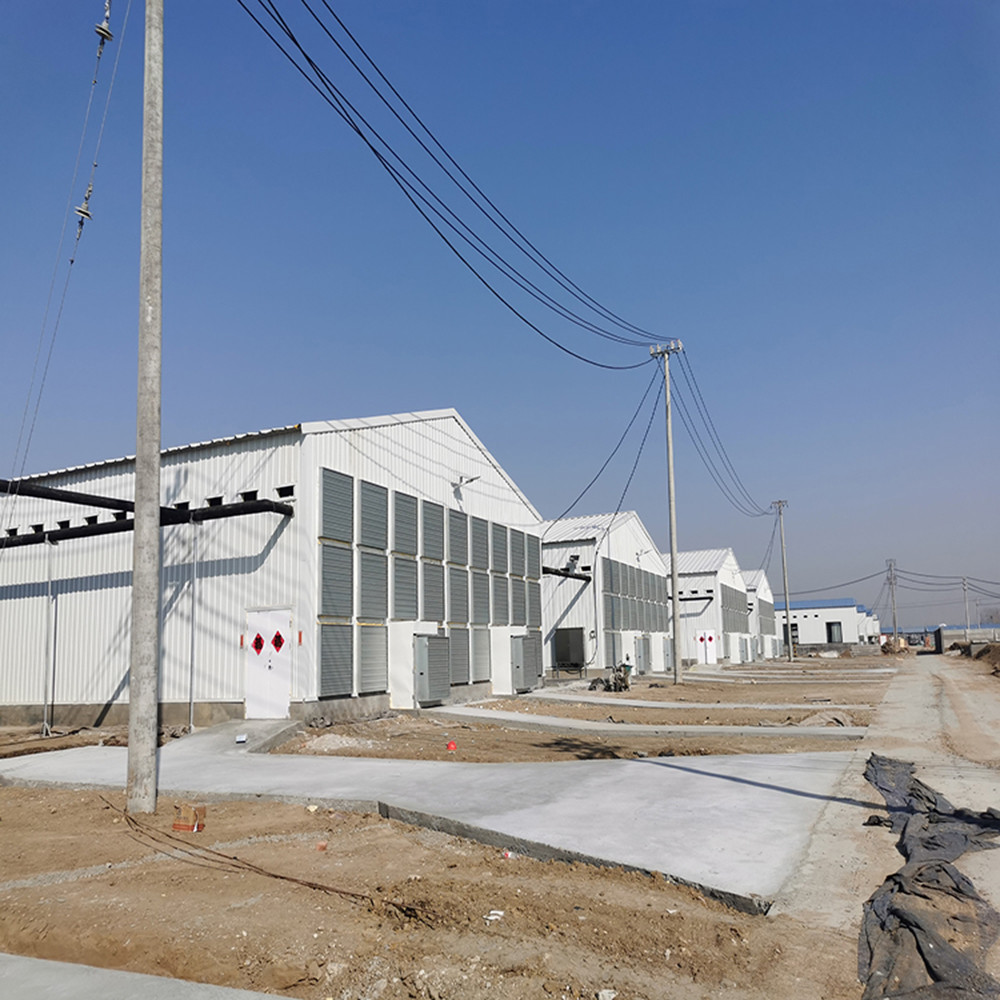 Customizable Farm Steel Structure Poultry House Galvanized For Automated Ventilation