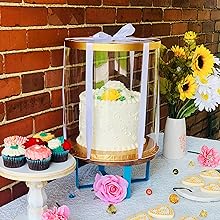clear cake box