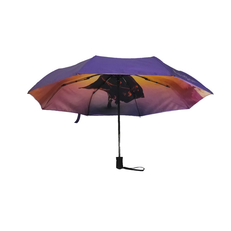 Auto Open Double Layer 21"*8K Windproof Travel Umbrella