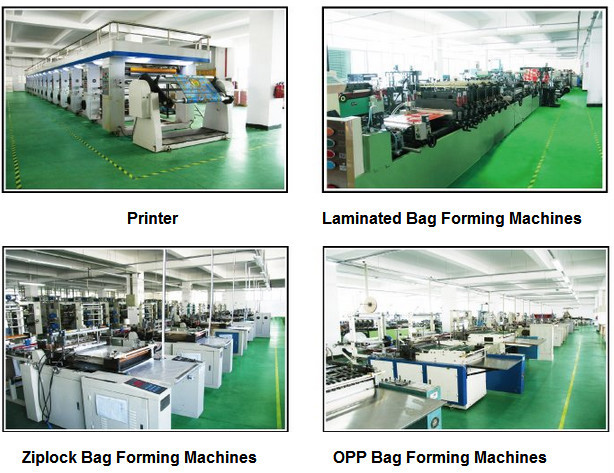 Semi-Transparent FROSTED (SMALL) Rigid Plastic Soft Loop Handle Gift / Retail Shopping Bags