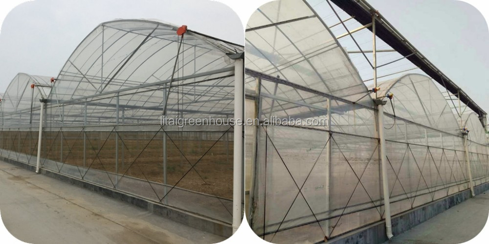 Large Transparent Plastic Film Multi-Span Greenhouse Grow Tent Transparent and Durable