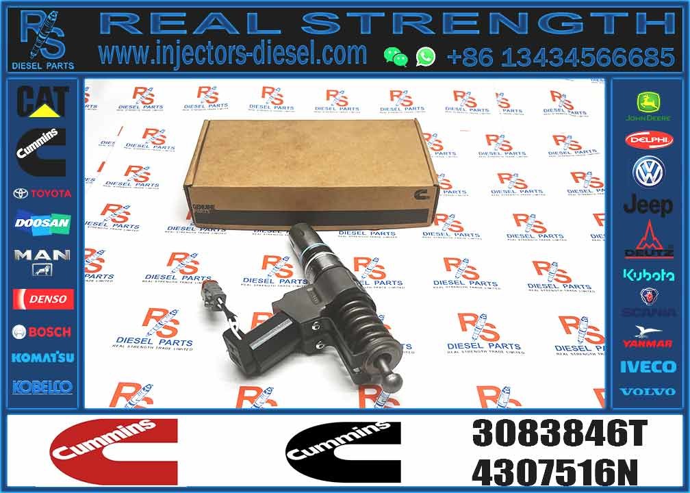 14 Common Rail Fuel Injector 3411764 3081315F 3073995F 3083846T 3083848F 3411766F